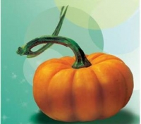 Fall Perks - Purifying Pumpkin Enzymes